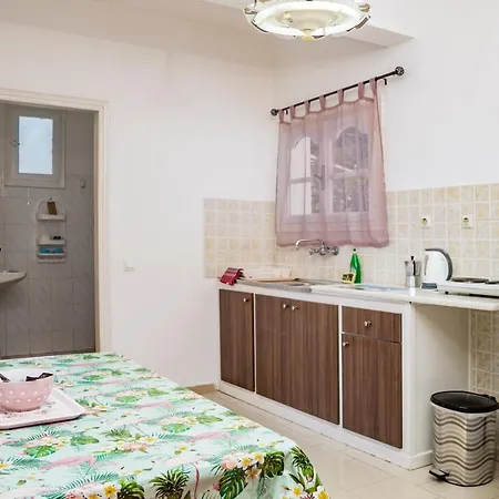 Chryssa Hotel Argassi